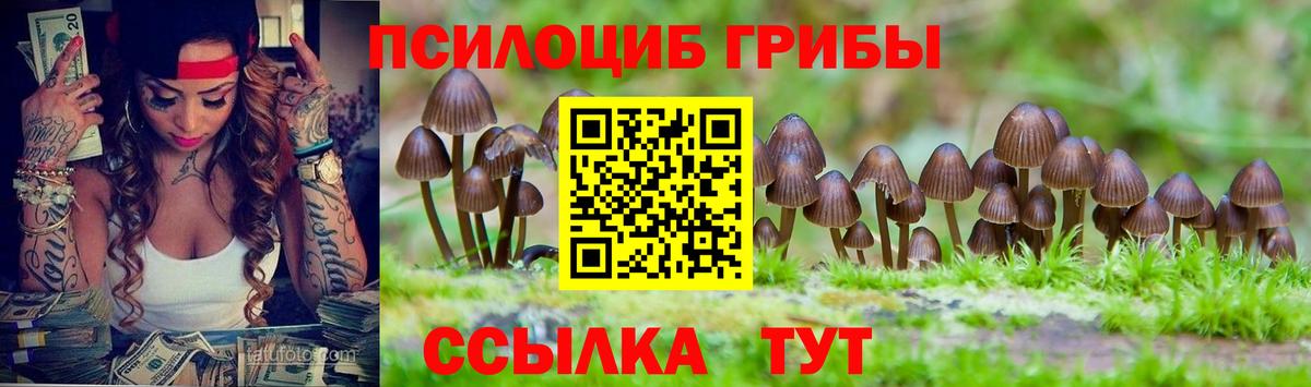 Псилоцибиновые грибы MAGIC MUSHROOMS Мытищи