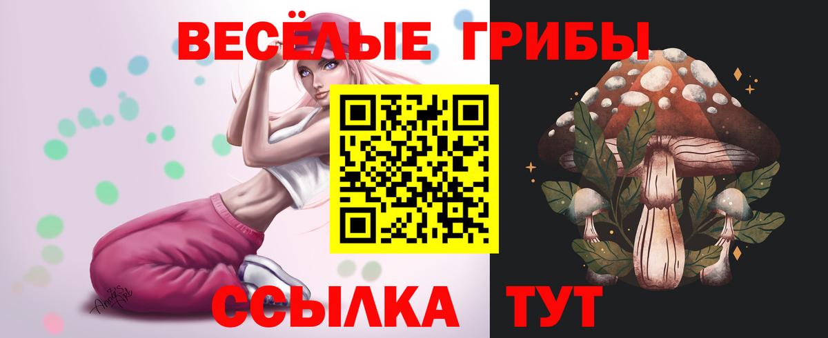 Каннабис Мытищи